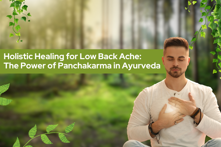 Holistic Healing for Low Back Ache: The Power of Panchakarma in Ayurveda