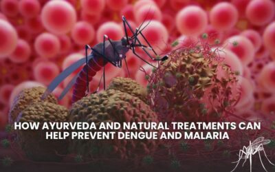 How Ayurveda and Natural Treatments Can Help Prevent Dengue and Malaria