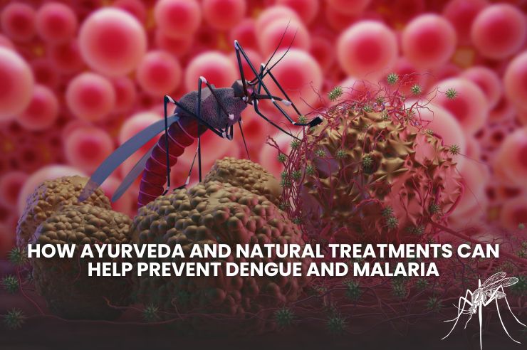 How Ayurveda and Natural Treatments Can Help Prevent Dengue and Malaria