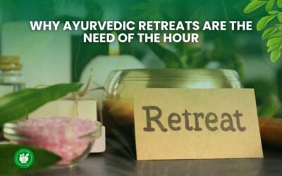 Why Ayurvedic Retreats Are the Need of the Hour