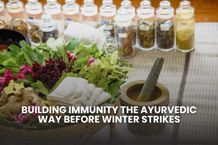 Building Immunity The Ayurvedic Way Before Winter Strikes