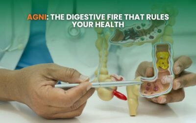 Agni: The Digestive Fire That Rules Your Health