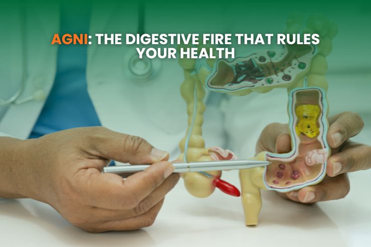 Agni: The Digestive Fire That Rules Your Health