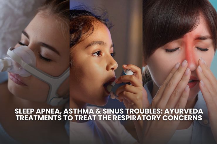 Sleep Apnea, Asthma & Sinus Troubles: Ayurveda Treatments To Treat The Respiratory Concerns